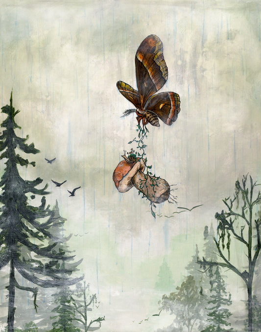 11x14 Canvas Print - 11 x 14 by Fae of Ilaria  (Canvas Print)