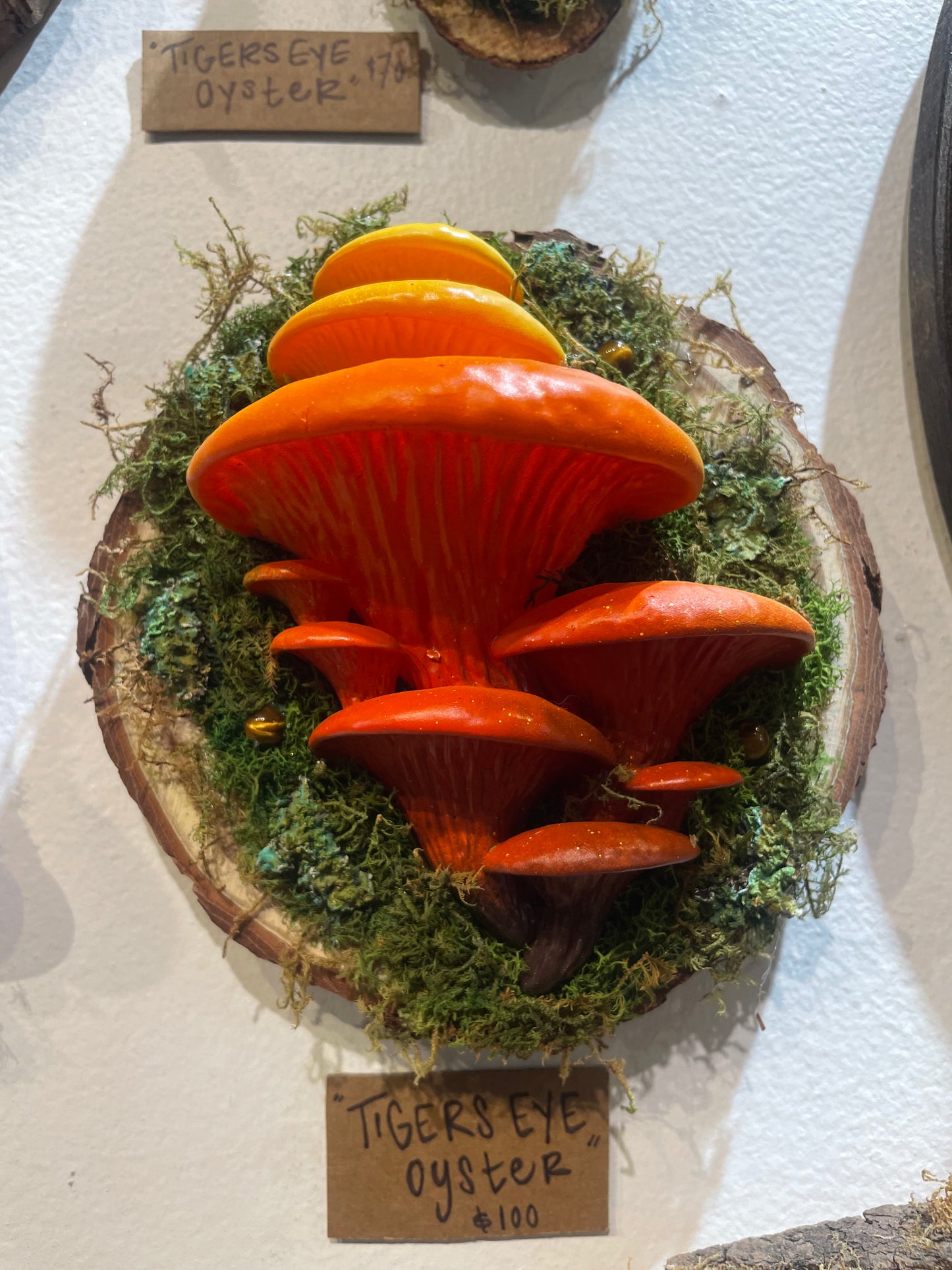 Oyster - TigersEye Autumn  - 5 x 6 by Subloominal  (3D Sculpture)