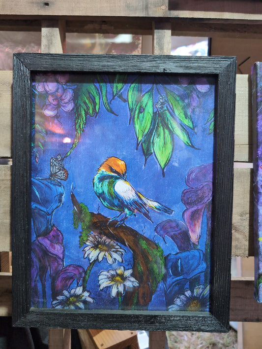 *Framed Prints  - 11 x 14 by Fae of Ilaria  (Poster Print)