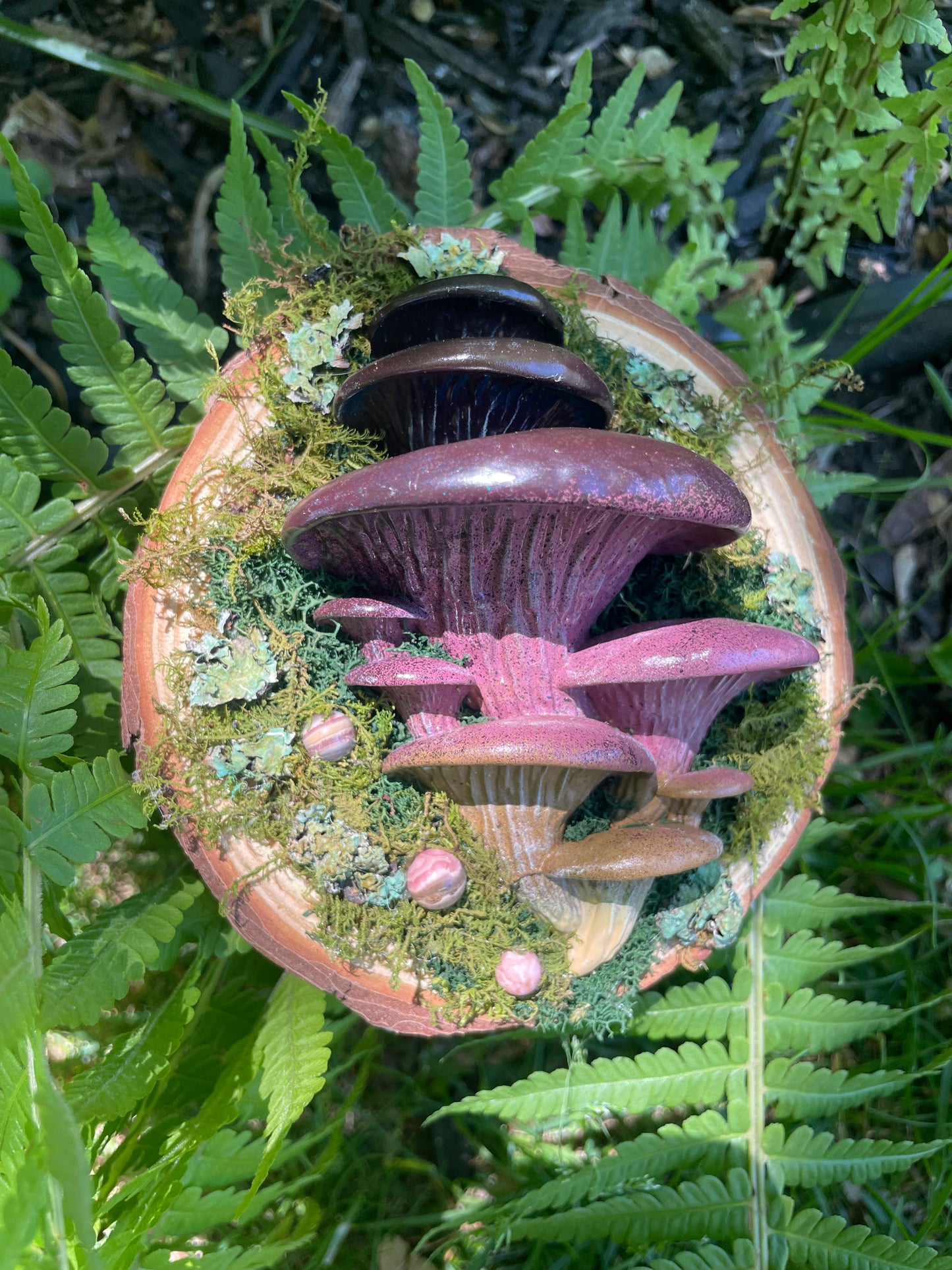 Oyster - Rhodocrosite - Large - 6 x 6 by Subloominal  (3D Sculpture)