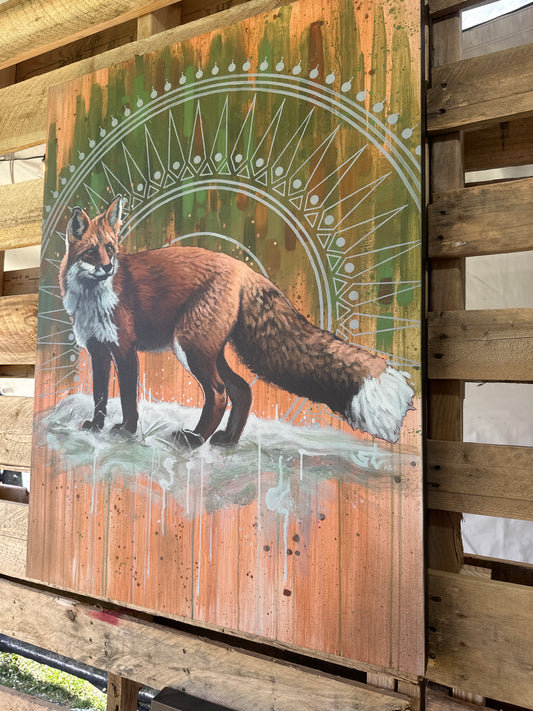 *Red fox - 36 x 24 by Steven Teller (Canvas Print)