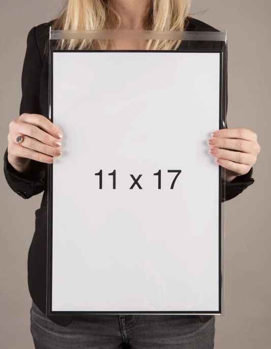 *11 x 17 Assorted Prints - 11 x 17 by Ania Amador (Poster Print)