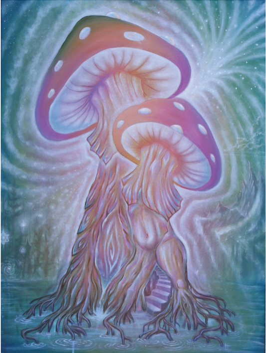 Psychedelivator - 15 x 11 by Subloominal  (Canvas Print)